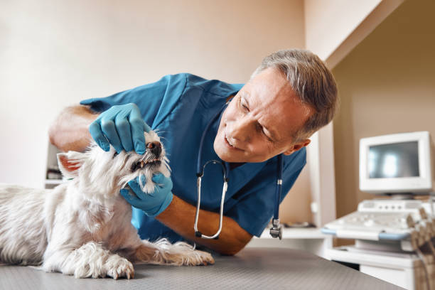 Best Same-Day Emergency Appointments in Castlewood, VA