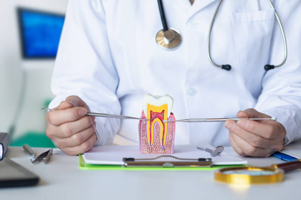 Best Emergency Dental Services for Seniors in Castlewood, VA